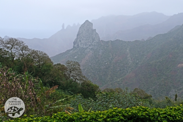 Above Sandy Bay on the island of Saint Helena. The rock formation in the foreground is Lot, borne of volcanic activity and erosion. Behind Lot, on the left, is Lot's Wife (the remains of a volcanic dyke). Between them are are Gorilla's Head and The Ass's Ears. Above Sandy Bay on the island of Saint Helena. The rock formation in the foreground is Lot, borne of volcanic activity and erosion. Behind Lot, on the left, is Lot's Wife (the remains of a volcanic dyke). Between them are are Gorilla's Head and The Ass's Ears.
