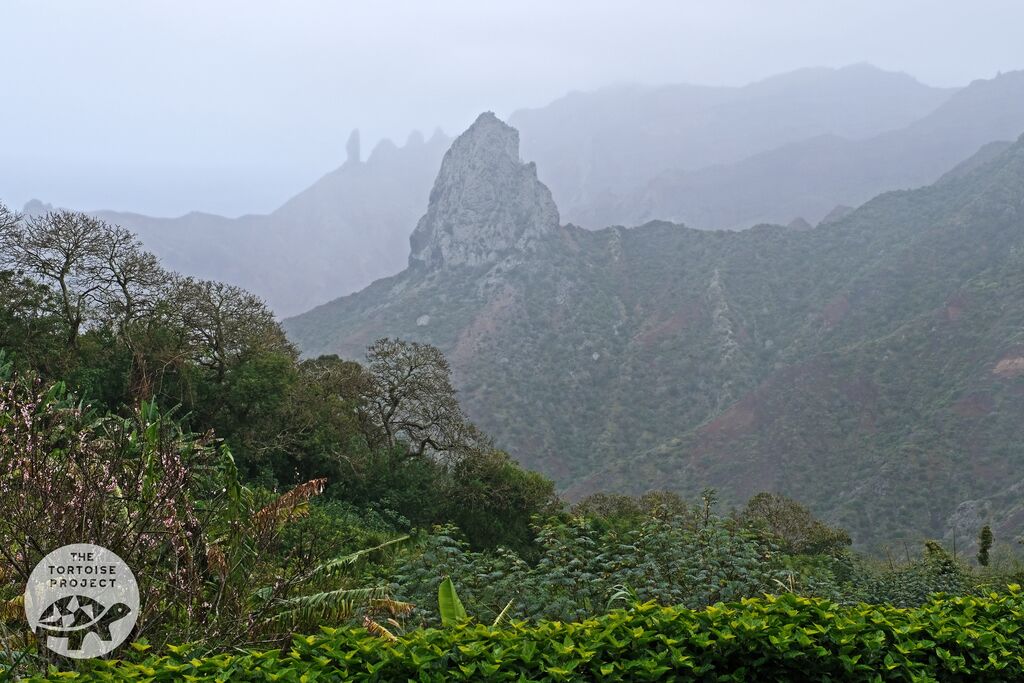 Above Sandy Bay on the island of Saint Helena. The rock formation in the foreground is Lot, borne of volcanic activity and erosion. Behind Lot, on the left, is Lot's Wife (the remains of a volcanic dyke). Between them are are Gorilla's Head and The Ass's Ears.