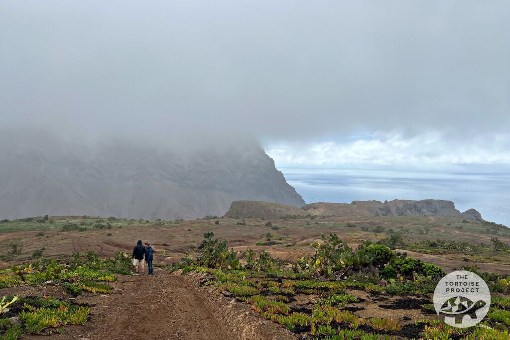 Saint Helena. Above Prosperous Bay.