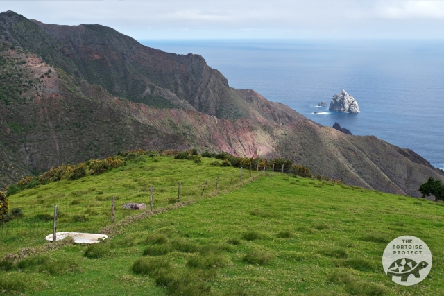 The sheer Speery Island, on southern Saint Helena, provides a habitat for birds. The sheer Speery Island, on southern Saint Helena, provides a habitat for birds.