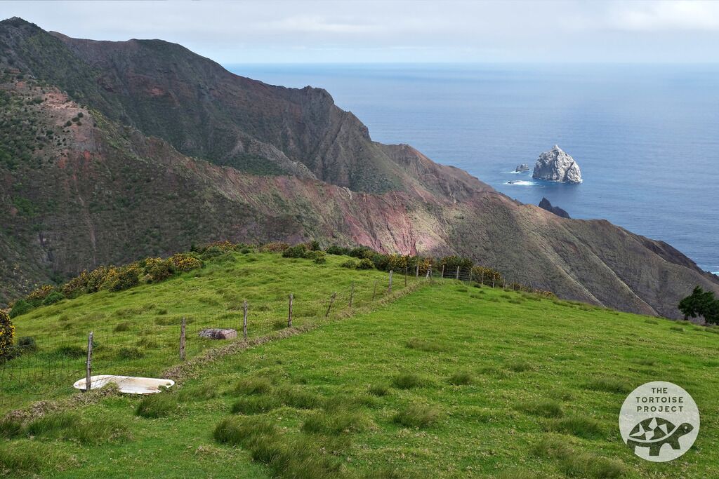 The sheer Speery Island, on southern Saint Helena, provides a habitat for birds.