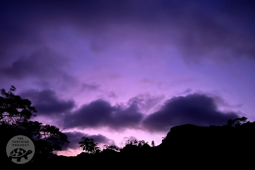 Saint Helena. True colors at sunset, above Sandy Bay.