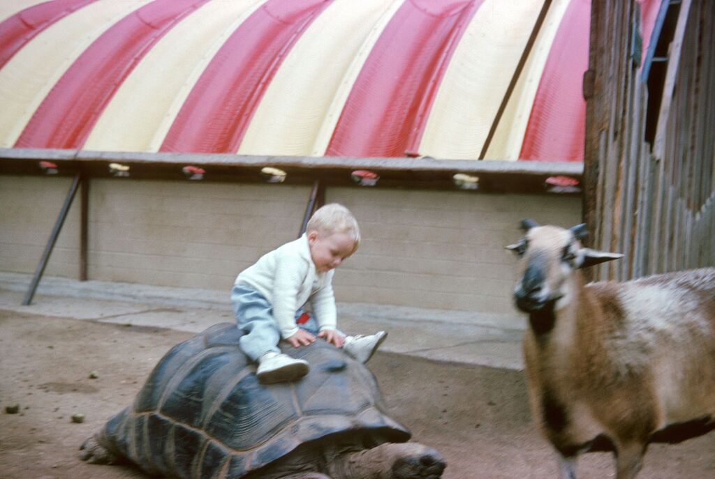 Kevin riding an Aldabra giant tortoise at the San Diego Zoo.