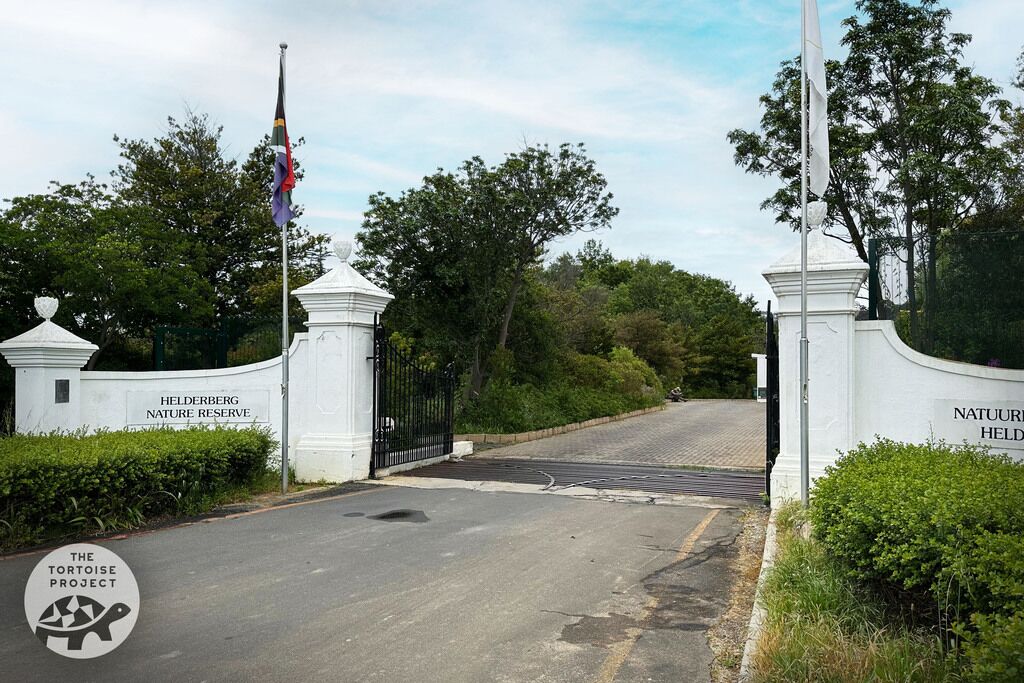 Helderberg Nature Reserve &mdash; the gate.