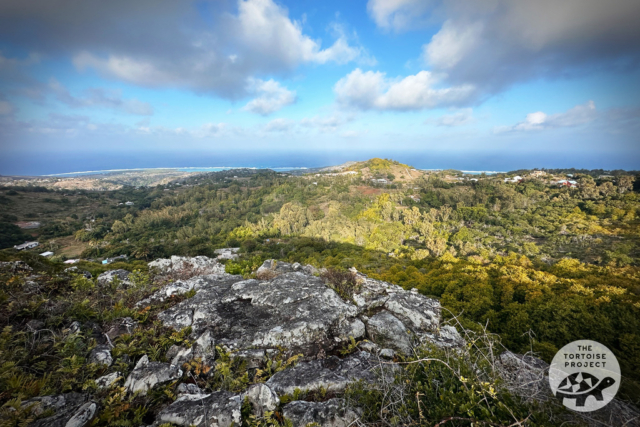 Panoramic vista from Grande Montagne overlooking the shoreline.