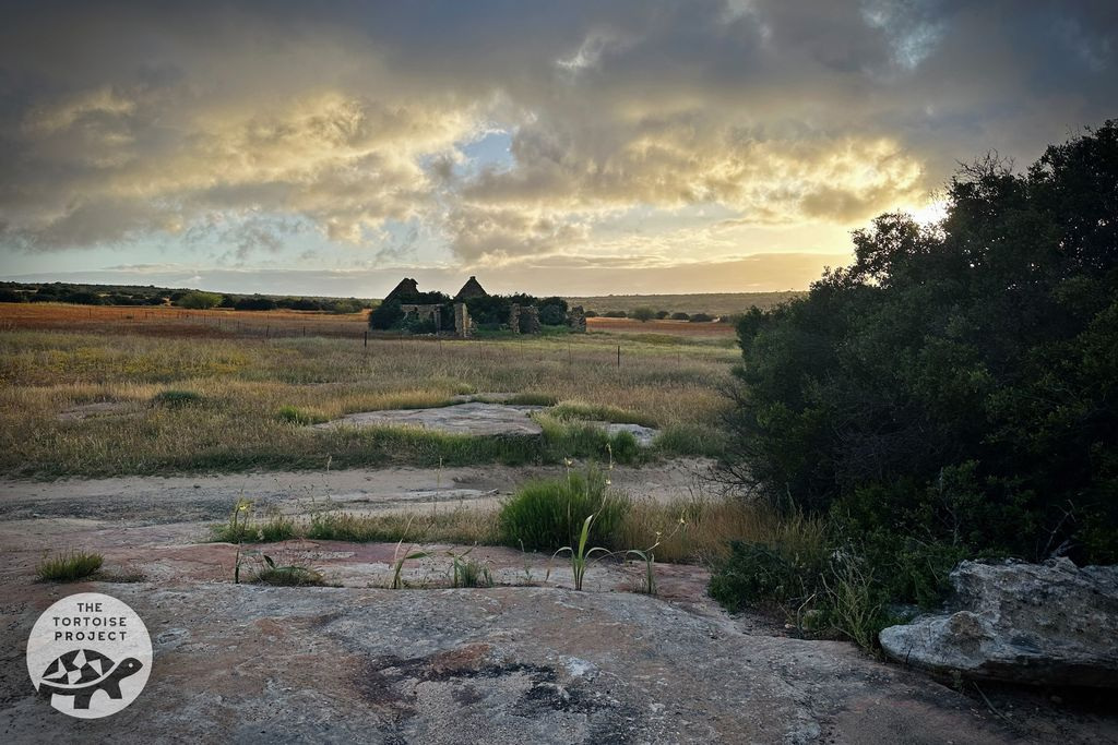 Near Nieuwoudtville, Northern Cape, South Africa. Boer ruins.