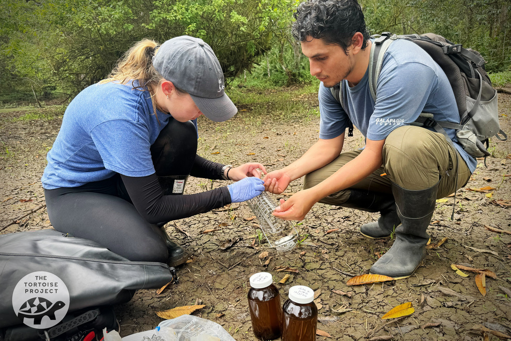 Georgie Savage and Christian set up a probe to test water for agricultural runoff on Santa Cruz island, Gal&aacute;pagos.