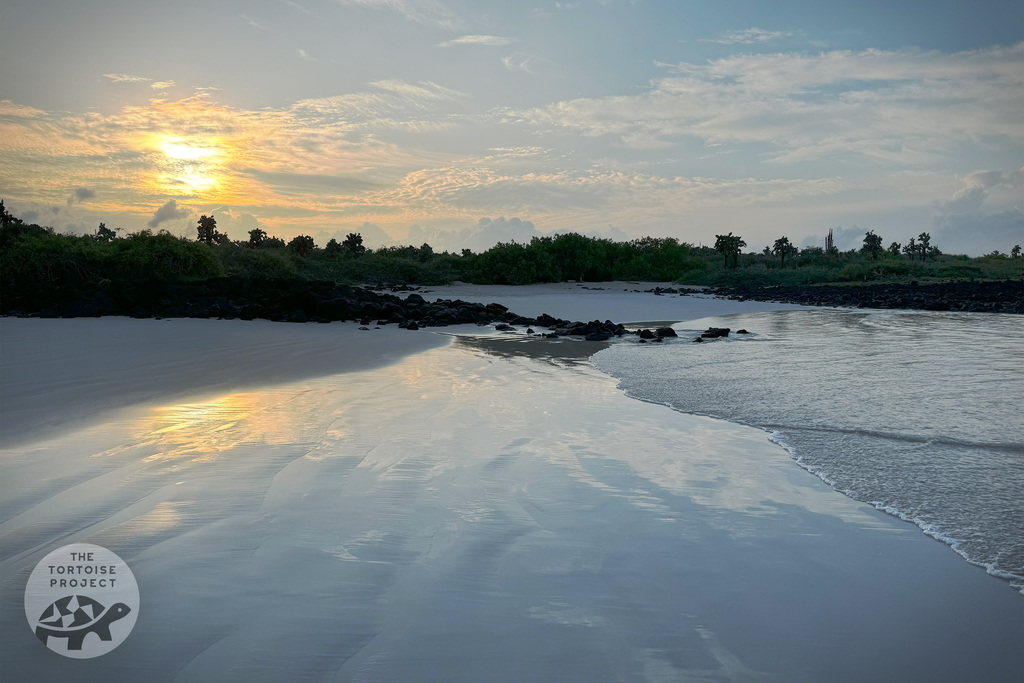 Dawn at Tortuga Bay on Santa Cruz island, Gal&aacute;pagos.