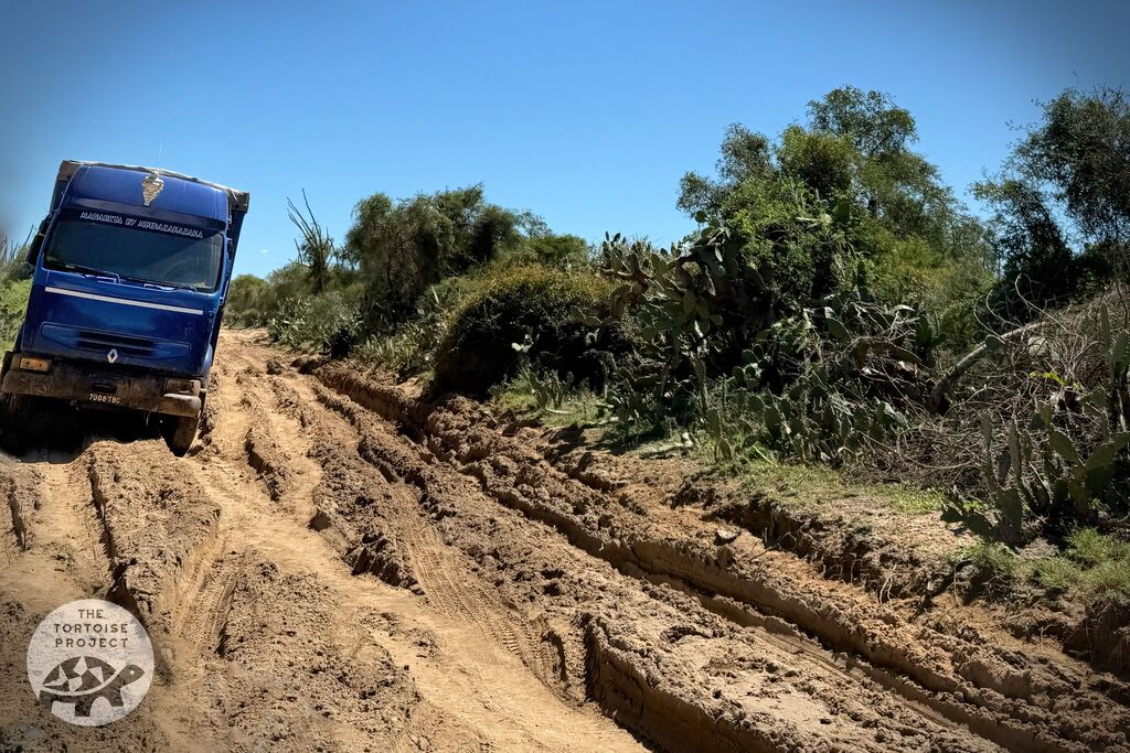 Truck stuck on ruts in the road