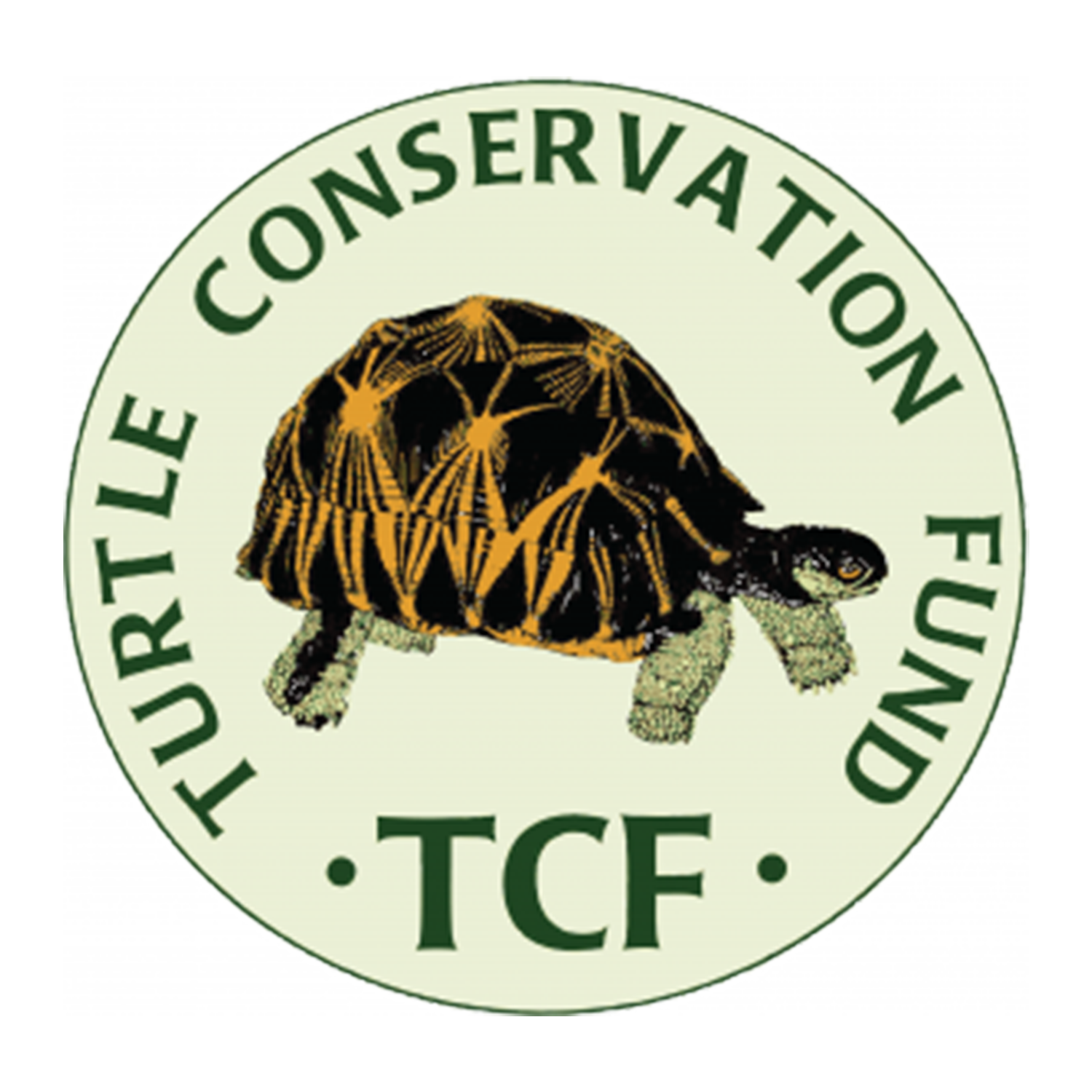 Turtle Conservation Fund