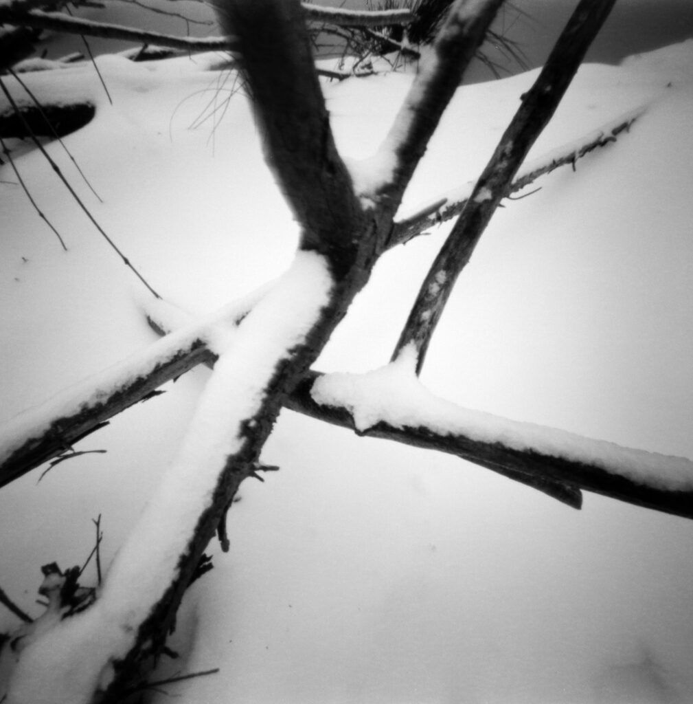 Snow, Branches at Errol Heights beaver pond. Snow, Branches at Errol Heights beaver pond.