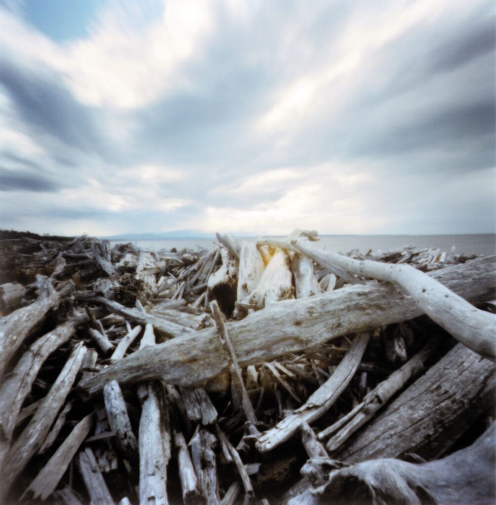 2008-09 Pacific Northwest – Port Townsend driftwood 1