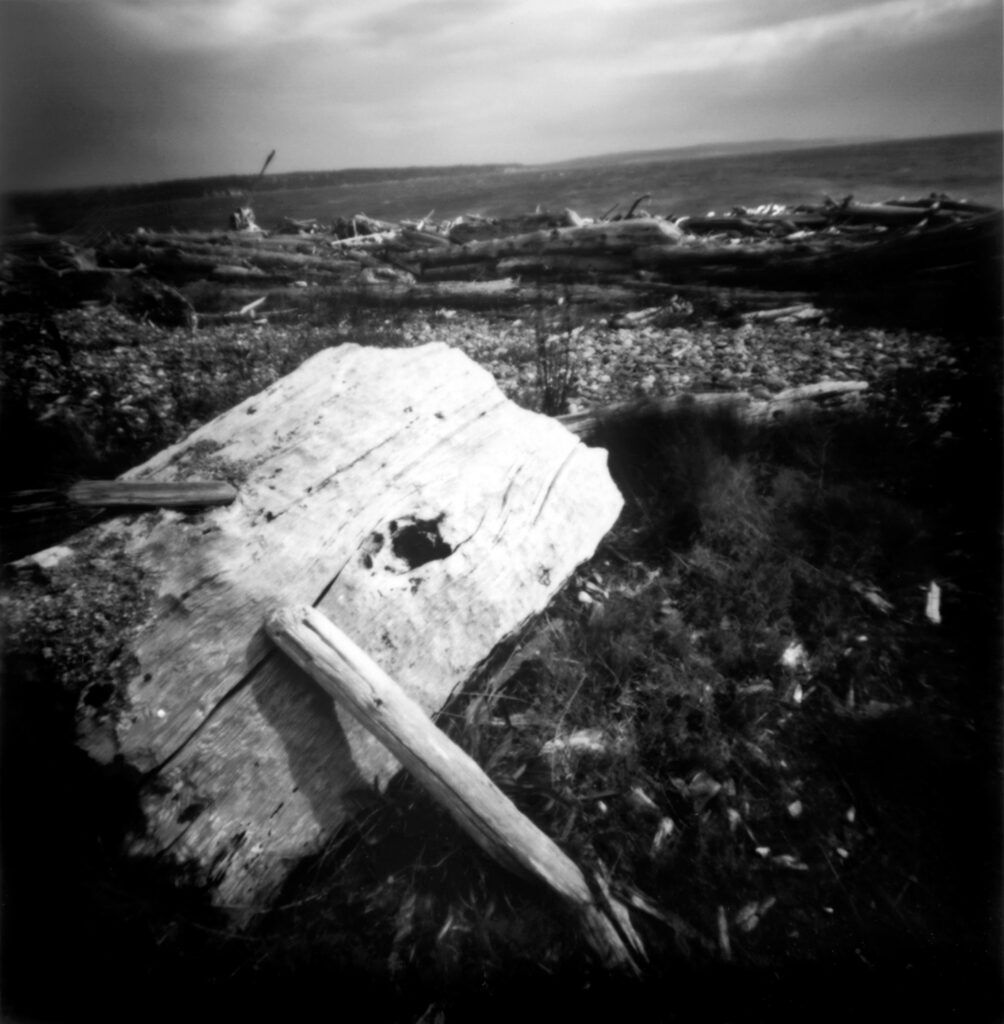 2008-09 Pacific Northwest – Port Townsend driftwood 11