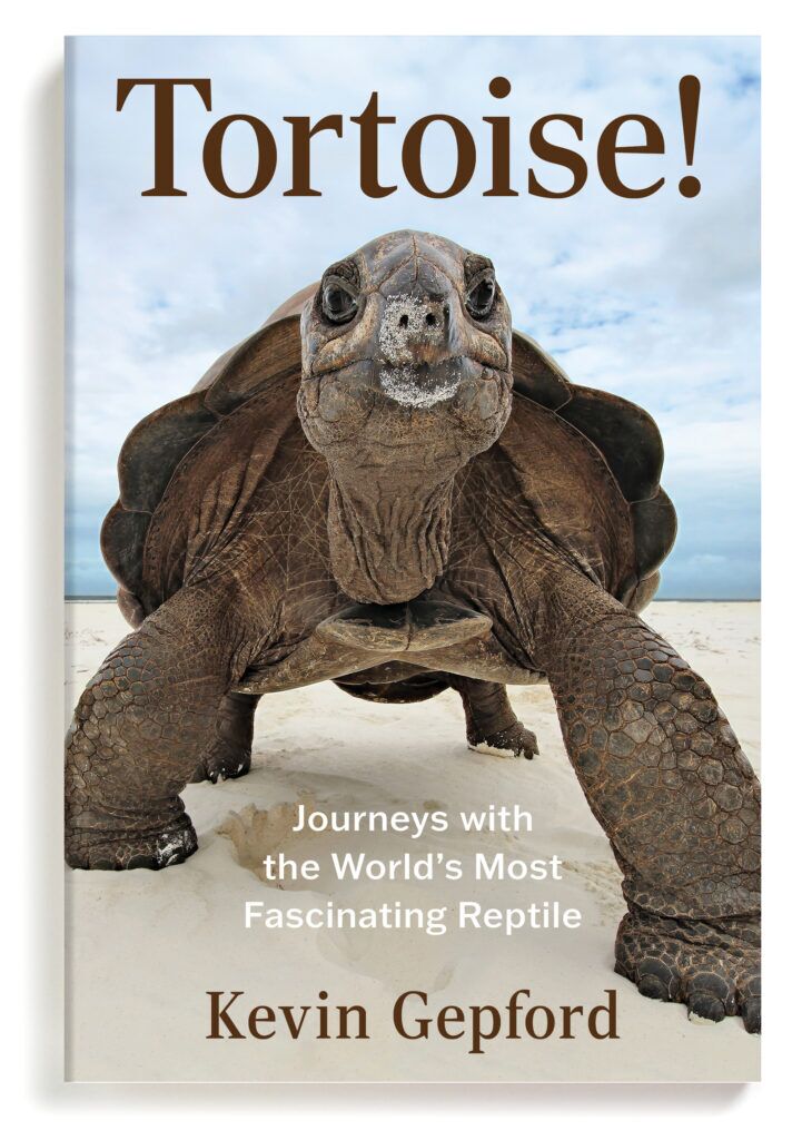 Cover image of the book "Tortoise!" by Kevin Gepford