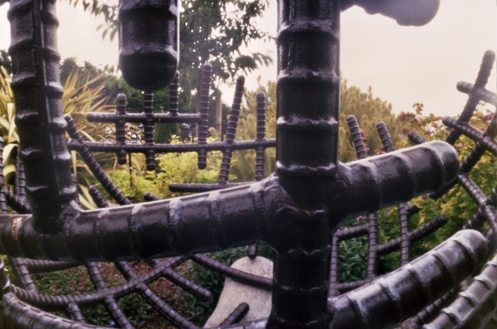 Rebar, Mendocino Coast Botanical Garden.