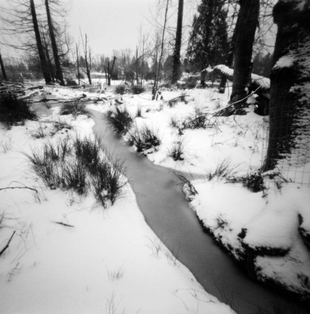 Snow, stream, at Errol Heights beaver pond. Snow, stream, at Errol Heights beaver pond.