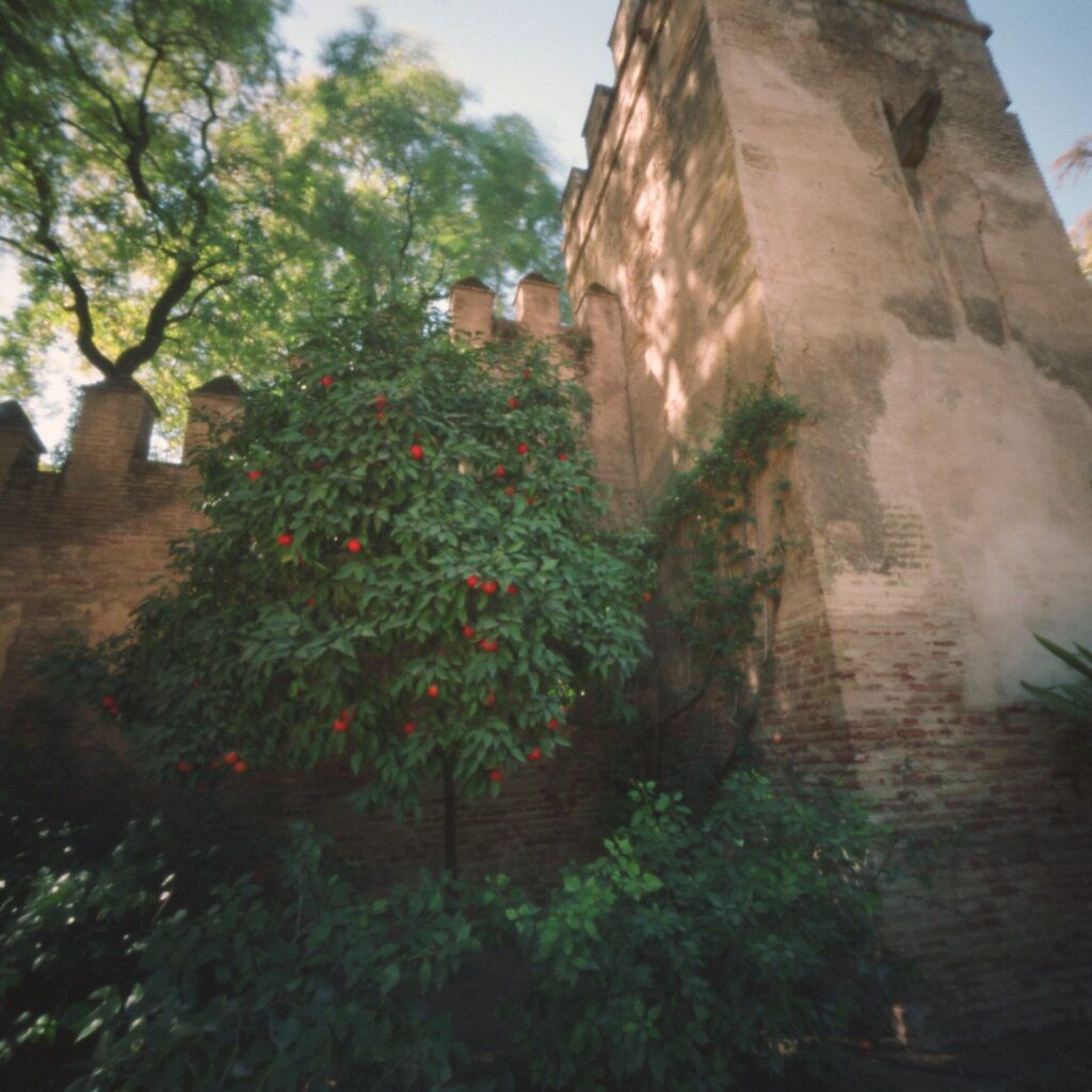 Garden at the Royal Alcázar, Seville, Spain. Garden at the Royal Alcázar, Seville, Spain.