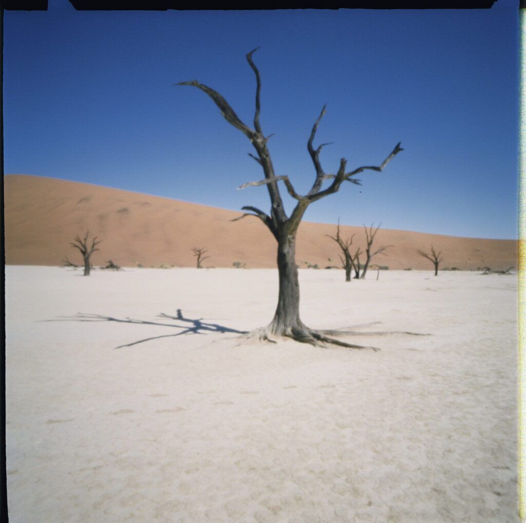 Sossusvlei salt pan, Namibia. Sossusvlei salt pan, Namibia.