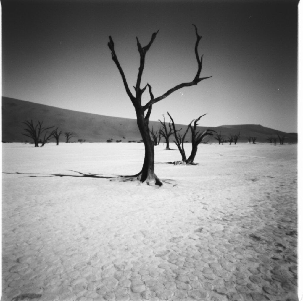 Sossusvlei salt pan, Namibia. Sossusvlei salt pan, Namibia.